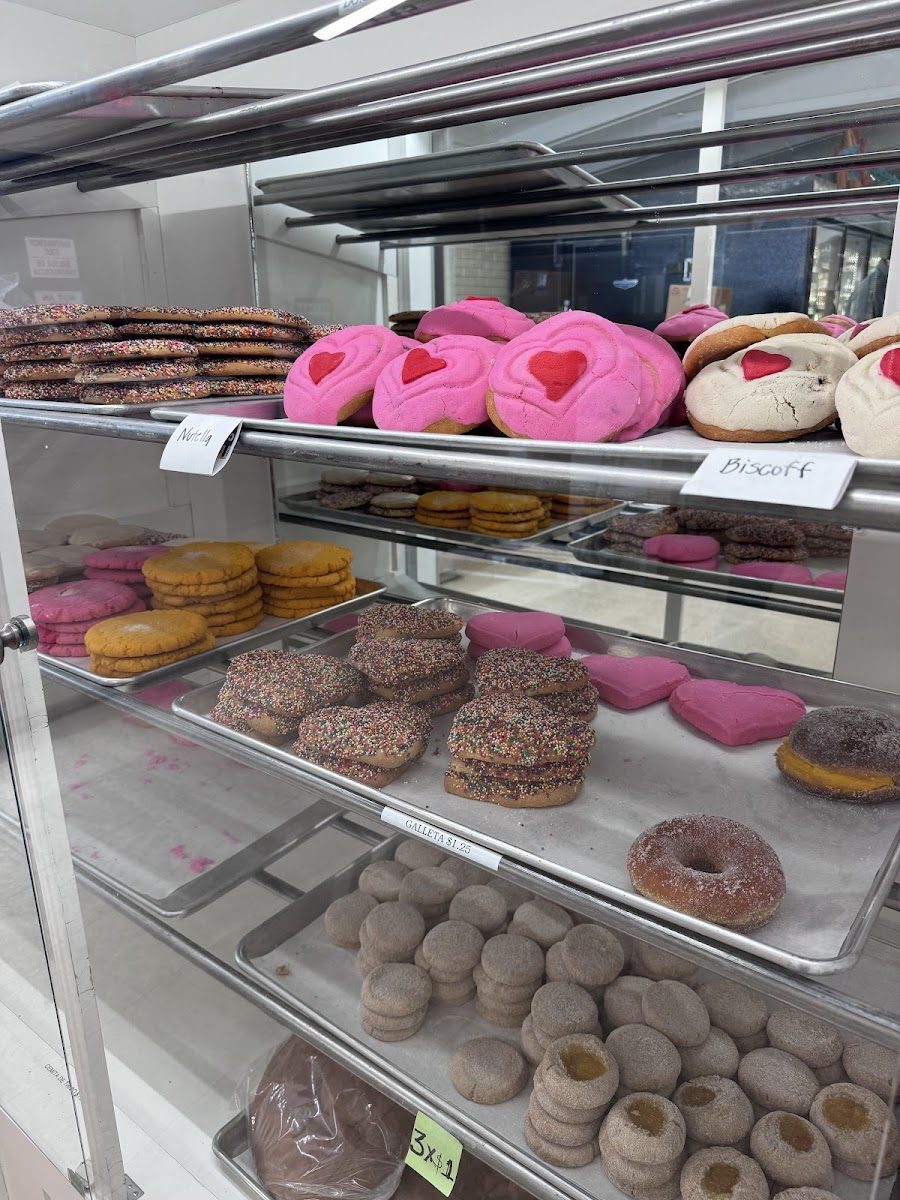 Conchas and sweet bread case